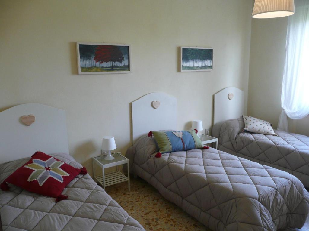Certe Notti Pisa Quarto foto